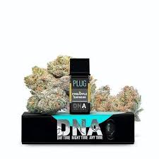 Photograph of product: PLUGPlay Pod Pineapple Express