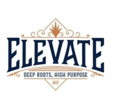 Photograph of product: ELEVATE 3.5G PINEAPPLE PLANET