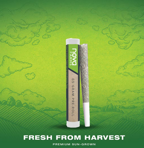 Photograph of product: Nova Farms - Purple Milk .5g Cone Joint