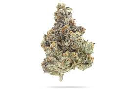 Photograph of product: - Bulk Flower - Cold Creek Kush [I] <LST1> - 7g