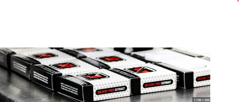 Photograph of product: Budder Pros - Purple Punch - Sugar - 1g