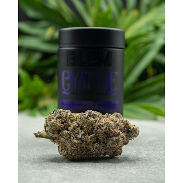 Photograph of product: Cyattie | BLEM | 3.5