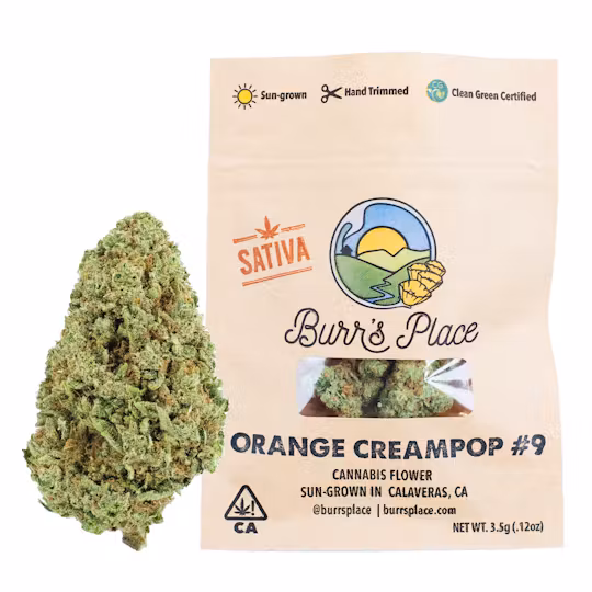 Photograph of product: Burr's Place - Flower - Orange Creampop - 7g