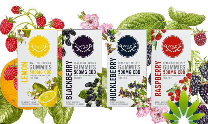 Photograph of product: Blackberry CBD Gummy (WYLD)