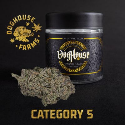 Photograph of product: Category 5 Bulk (I) - 28g