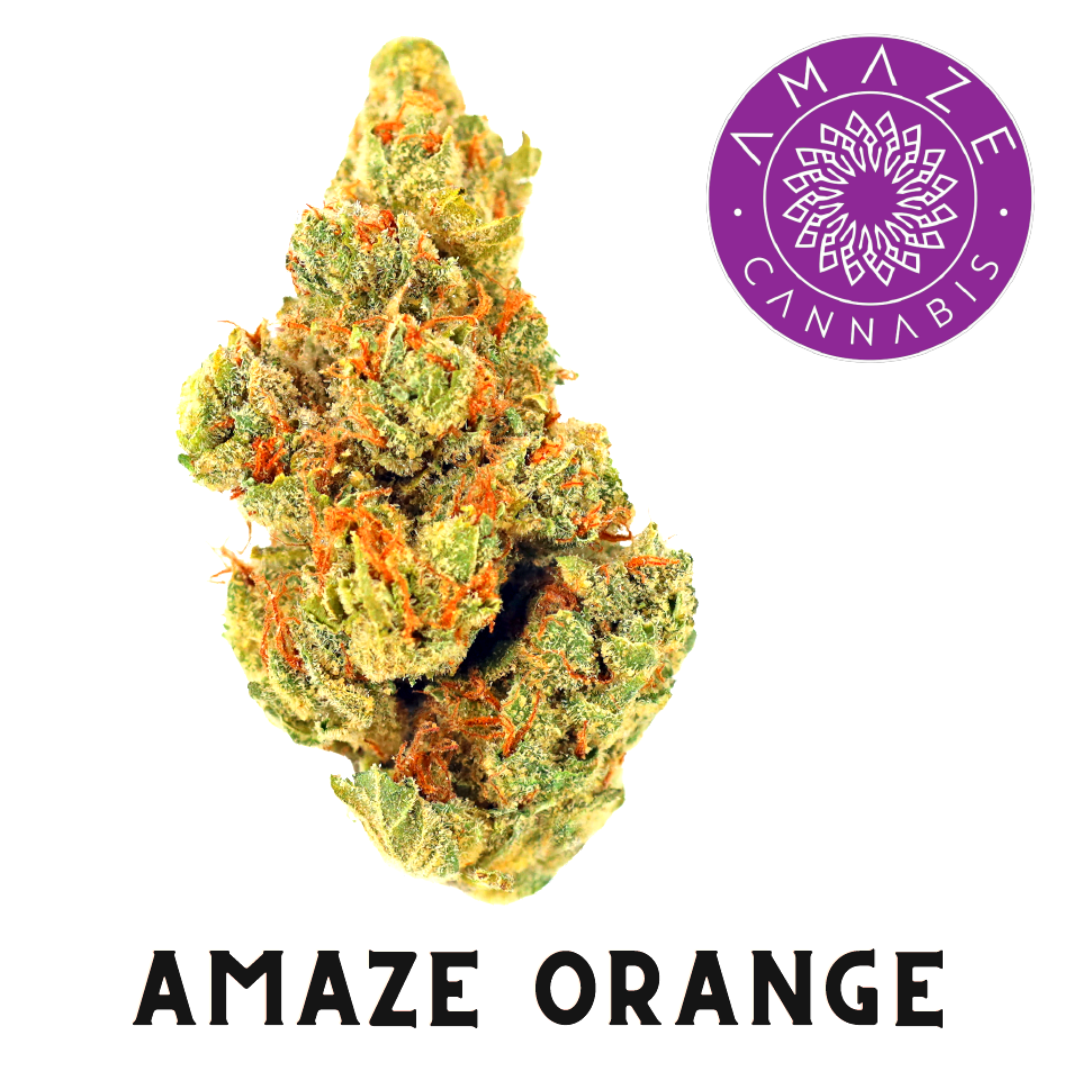Photograph of product: AMAZE PRE-PACK FLOWER AMAZE ORANGE (I) 3.5G
