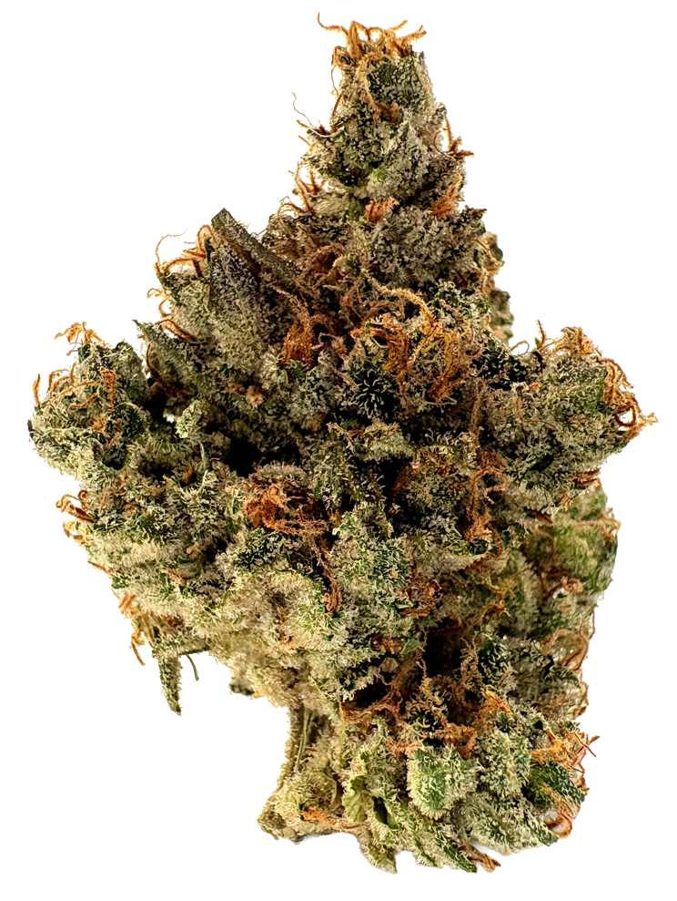 Photograph of product: CBX | Mountain Sage | 3.5G