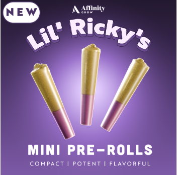 Photograph of product: Star Killer OG Lil' Ricky's T17.21% I 00632 (3pk)