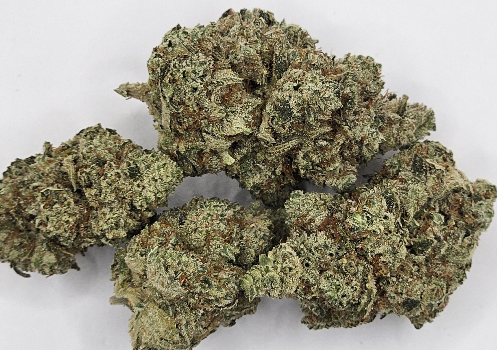 Photograph of product: Orion's Garden - GG4 - 28g