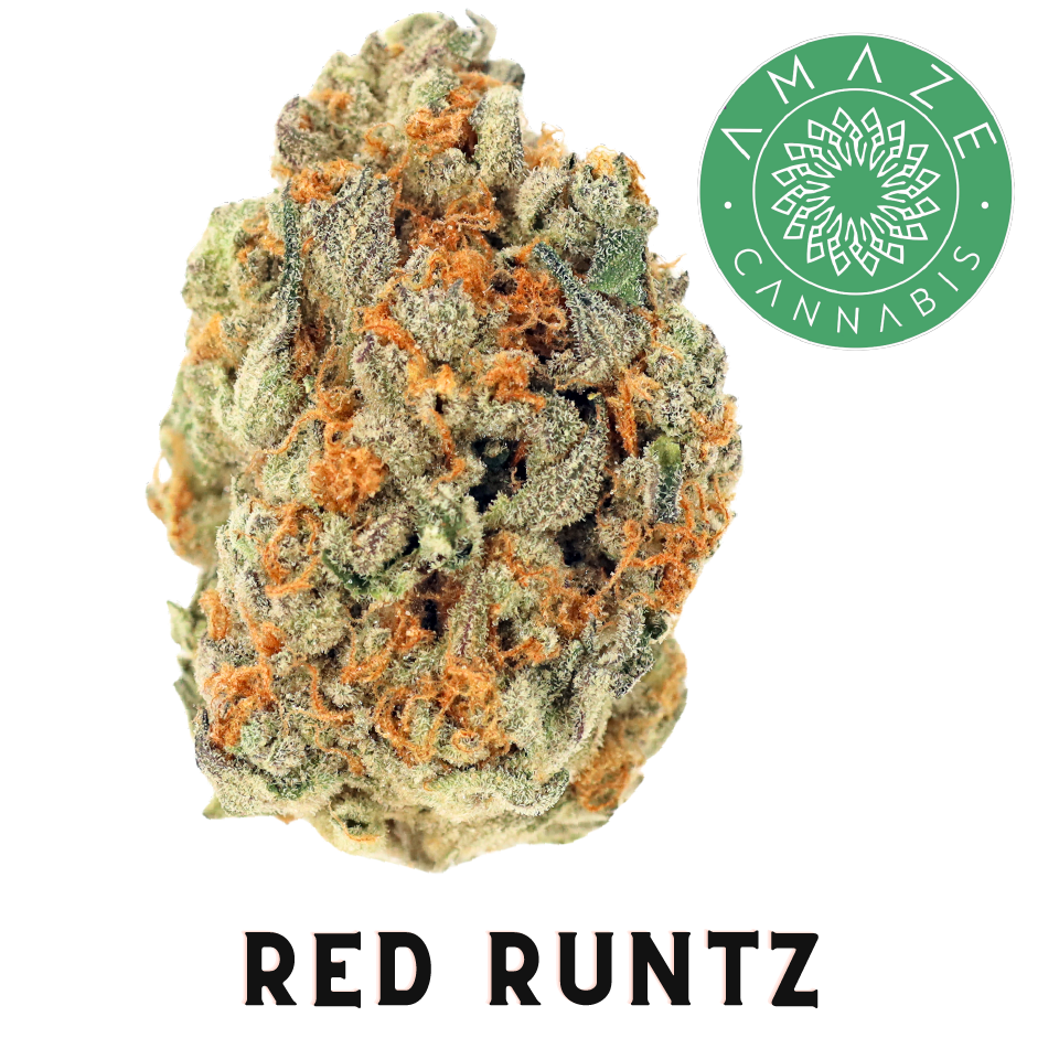 Photograph of product: Amaze: Flower | Red Runtz | 3.5g