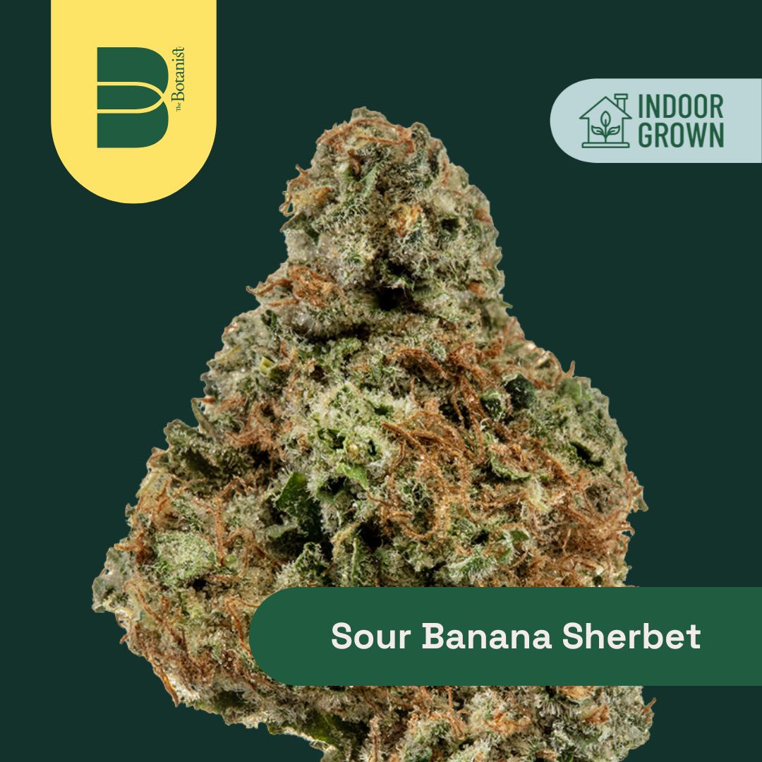 Photograph of product: The Botanist - Sour Banana Sherbet Whole Flower - 3.5g