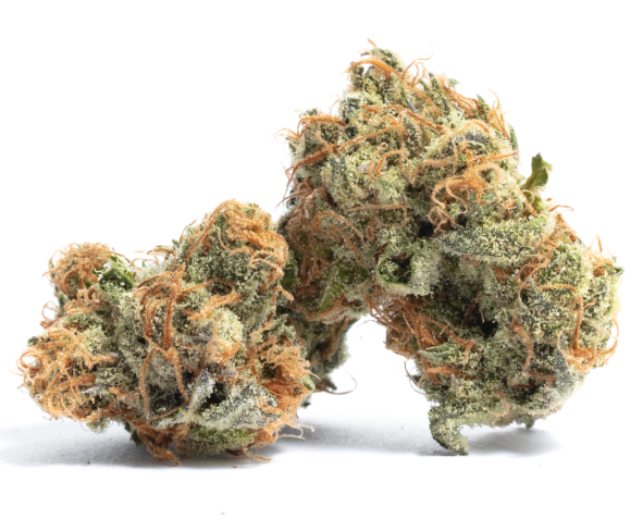 Photograph of product: (02328) Gelato41 - 7g