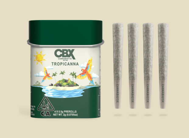Photograph of product: Tropicanna | 4pk Prerolls - 