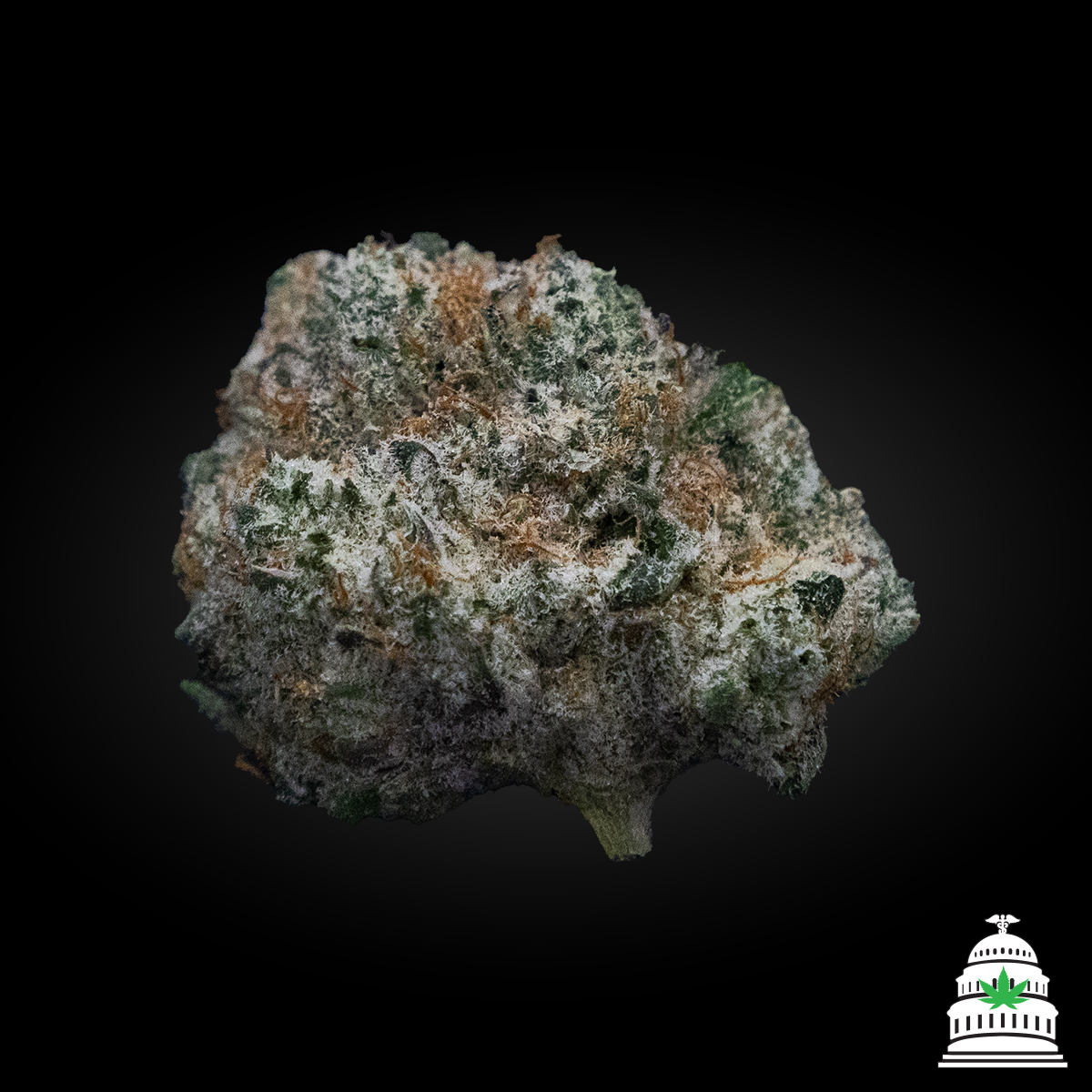 Photograph of product: Good Fella - Altvm Flower - 28g