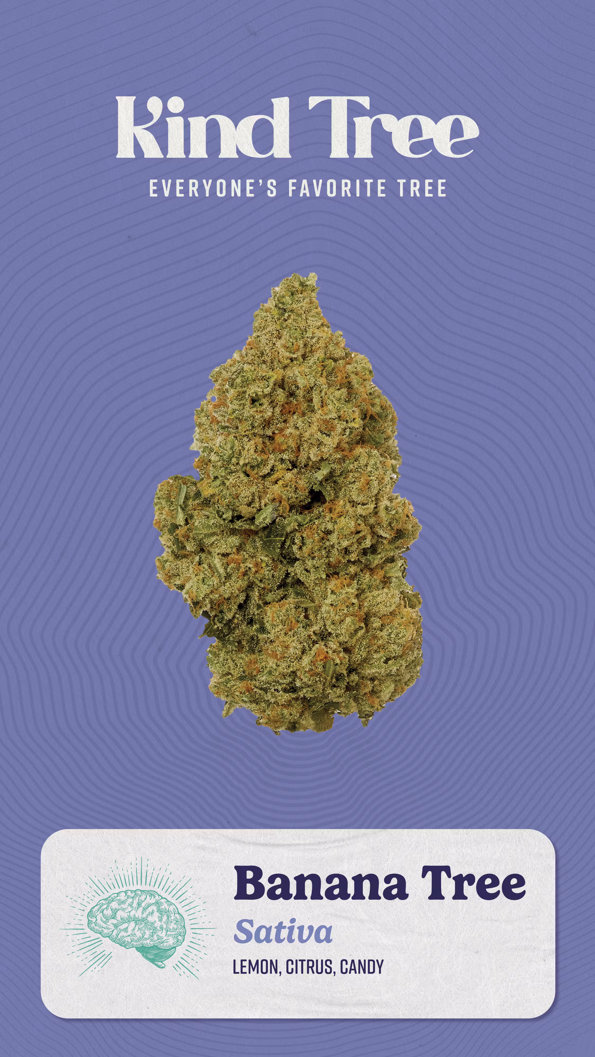 Photograph of product: Lemon Dream | 3.5g Flower I Kind Tree