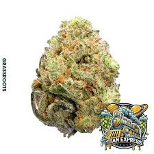 Photograph of product: Grassroots | Titan Express: Flower - 3.5g