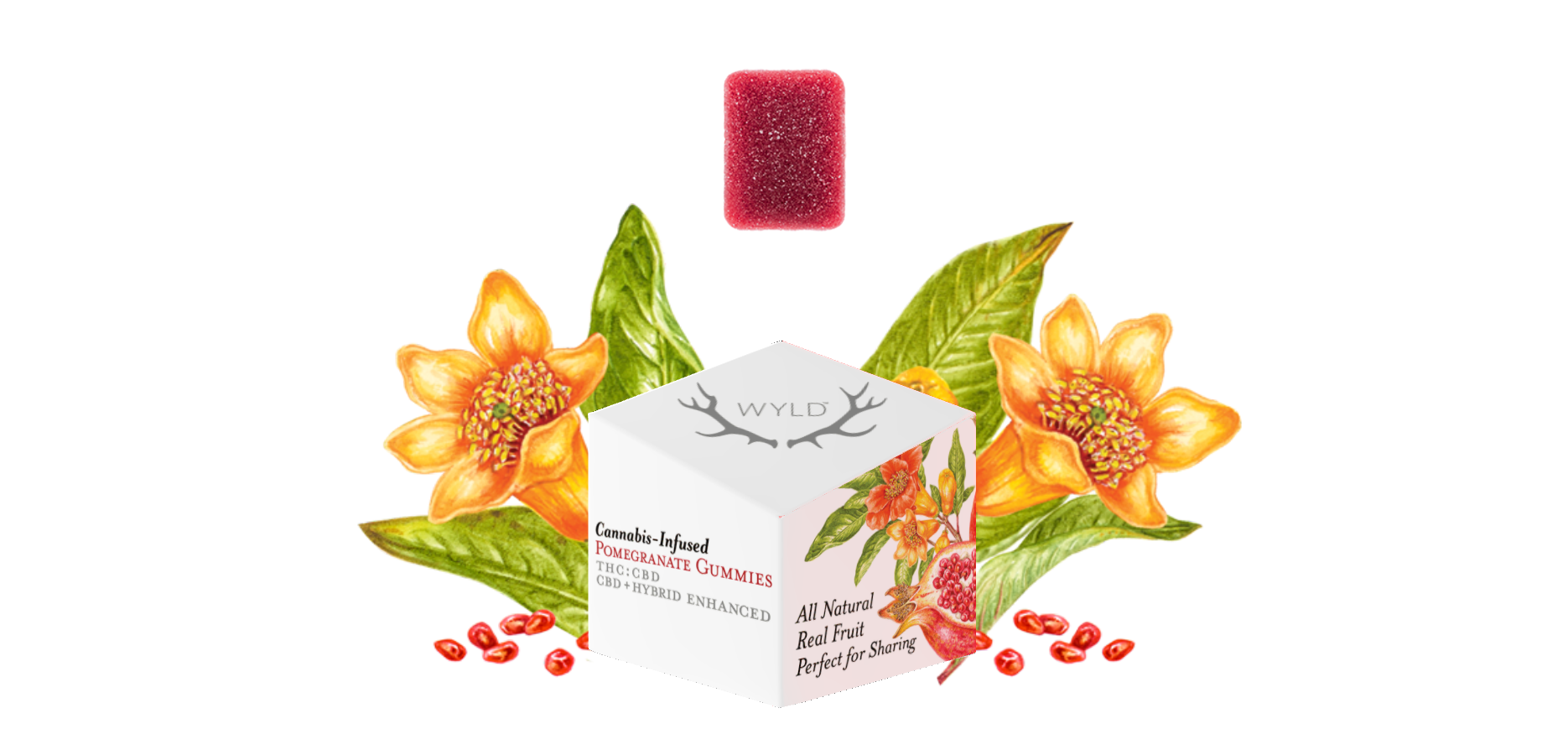 Photograph of product: Wyld - Gummies 1:1 - Pomegranate (H) (100mg TH-oui/CBD)