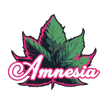 Photograph of product: Amnesia Zerds - Pink Lemonade - 200mg 1pk au chocolat Rosin Gummy