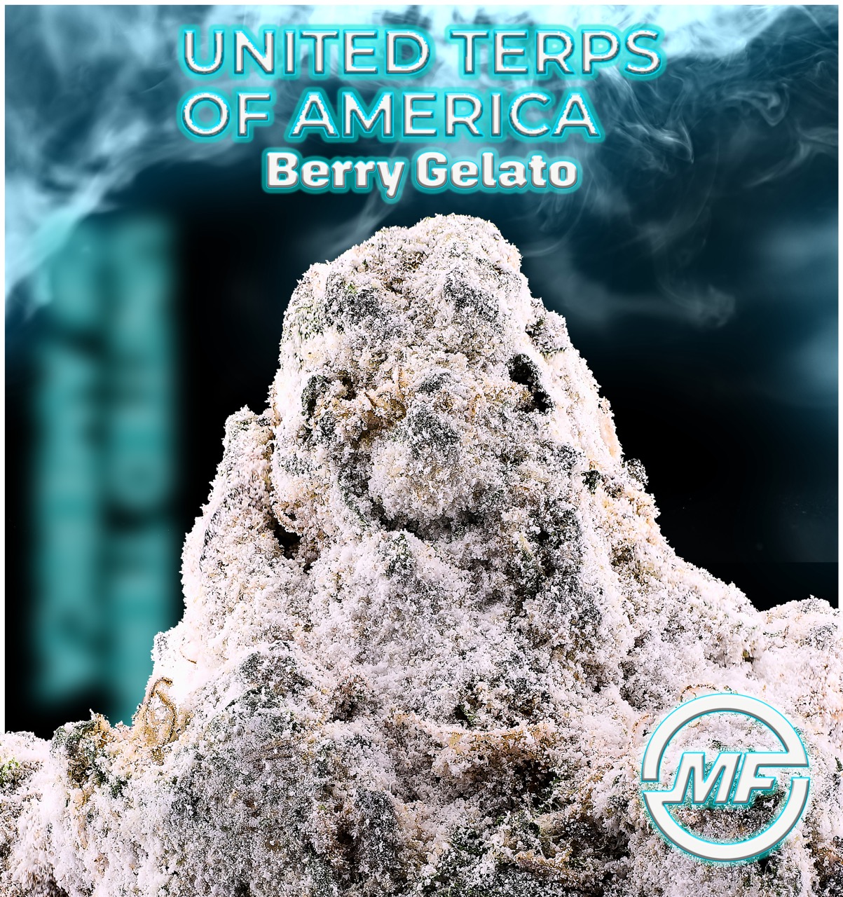 Photograph of product: United Terps Of America | Berry Gelato | Infused Flower - 1g