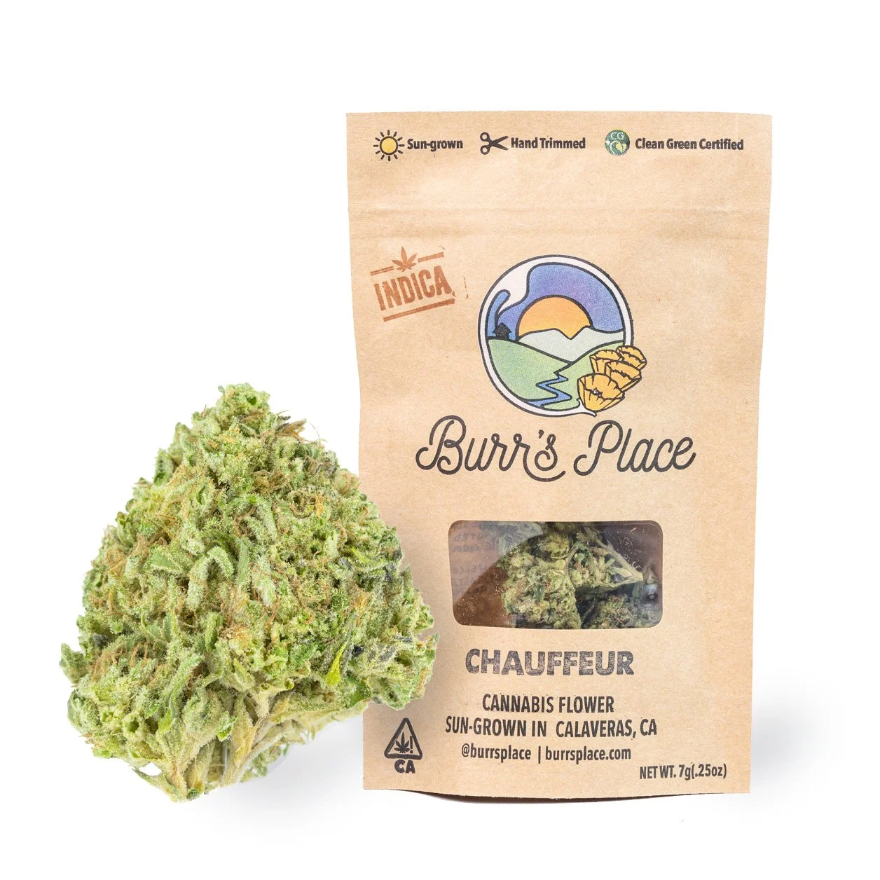 Photograph of product: Chauffeur (I) Burr's Place 7g