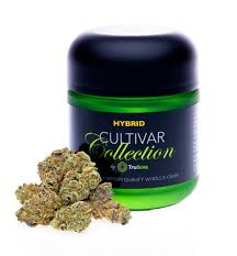 Photograph of Product: Cultivar | Sour OG Chem Pre-Packaged Flower | 3.5g