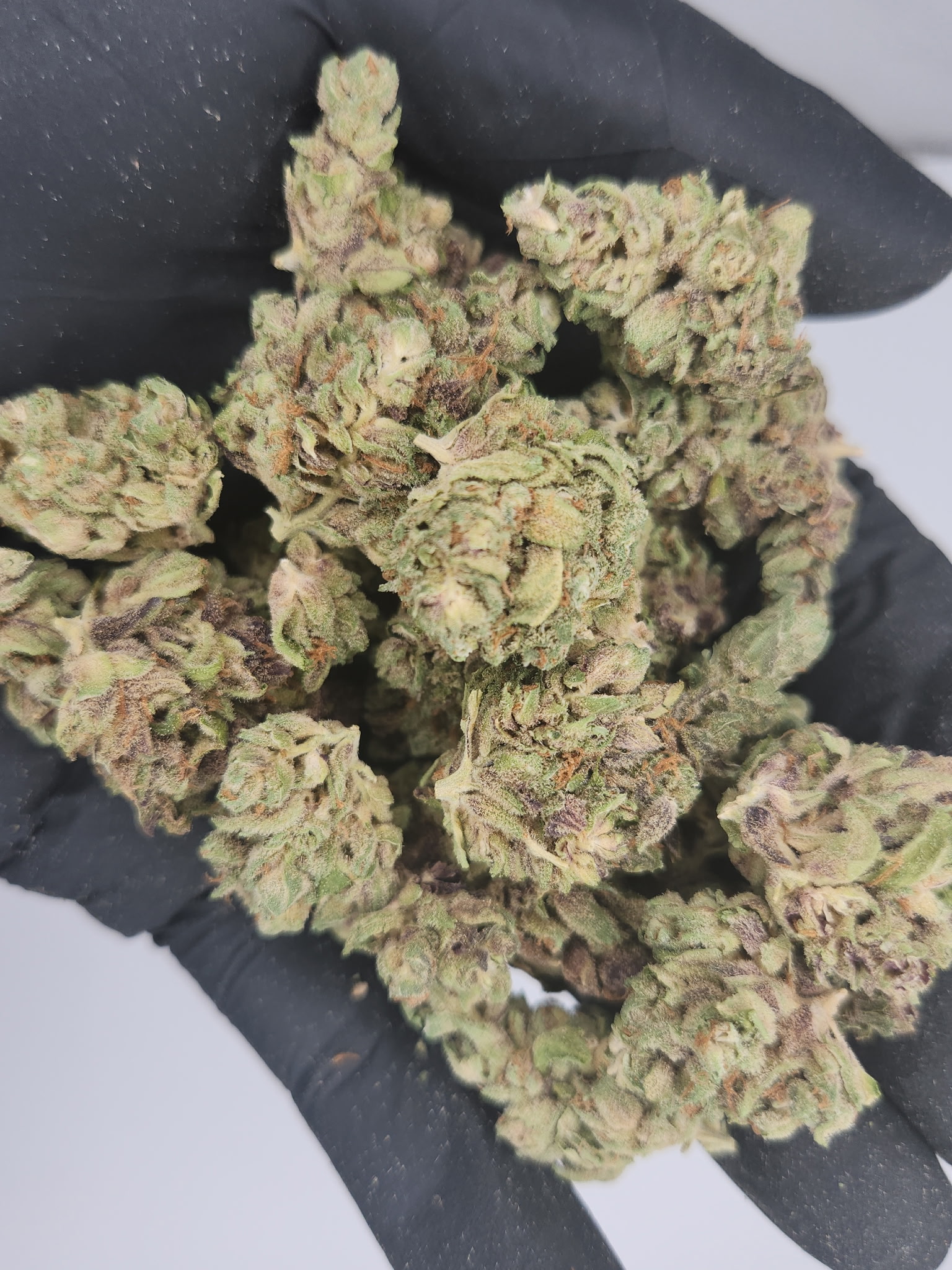 Photograph of product: Fresh Canna | Bulk Bud - Durban Poison - 28g
