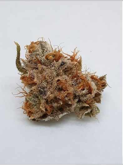 Photograph of product: Bushy Beard | Electric Slide | Bulk Flower - 28g