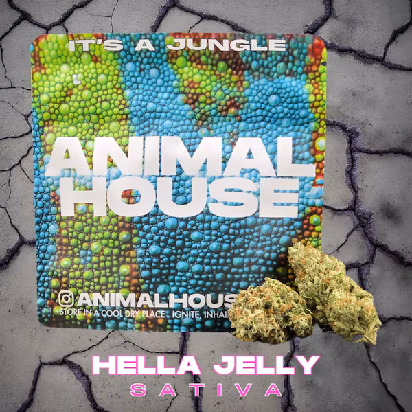 Photograph of product: Animal House | Hella Jelly Misfits Smalls flower, bag 5g