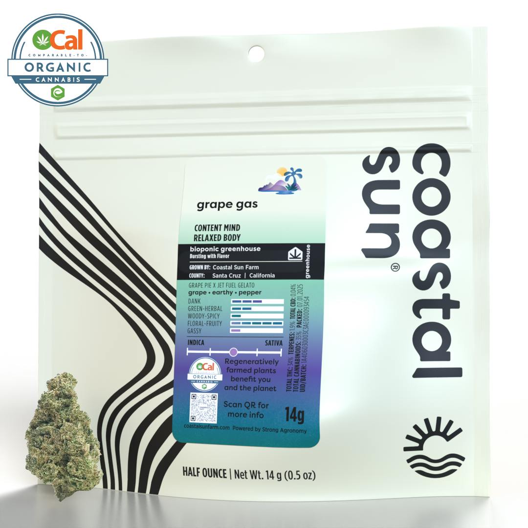 Photograph of product: Coastal Sun | Flower H | Grape Gas - 14g