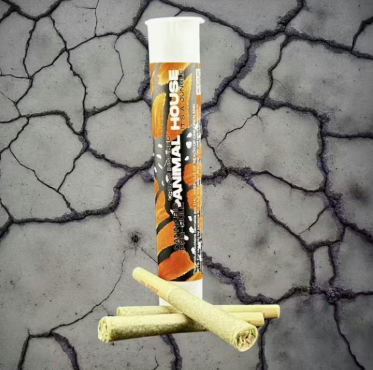 Photograph of product: Animal House Sour Goji 3 Pack Pre Rolls