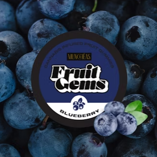 Photograph of product: Blueberry Gummies 100mg
