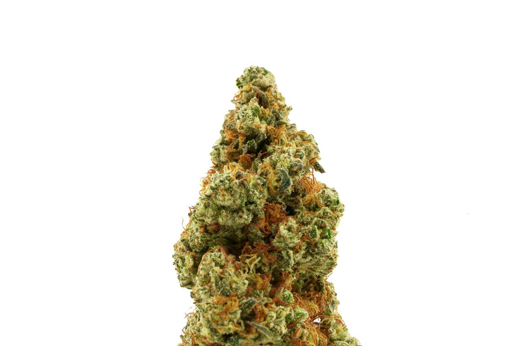 Photograph of product: ROASTED GARLIC MARGY | 3.5G