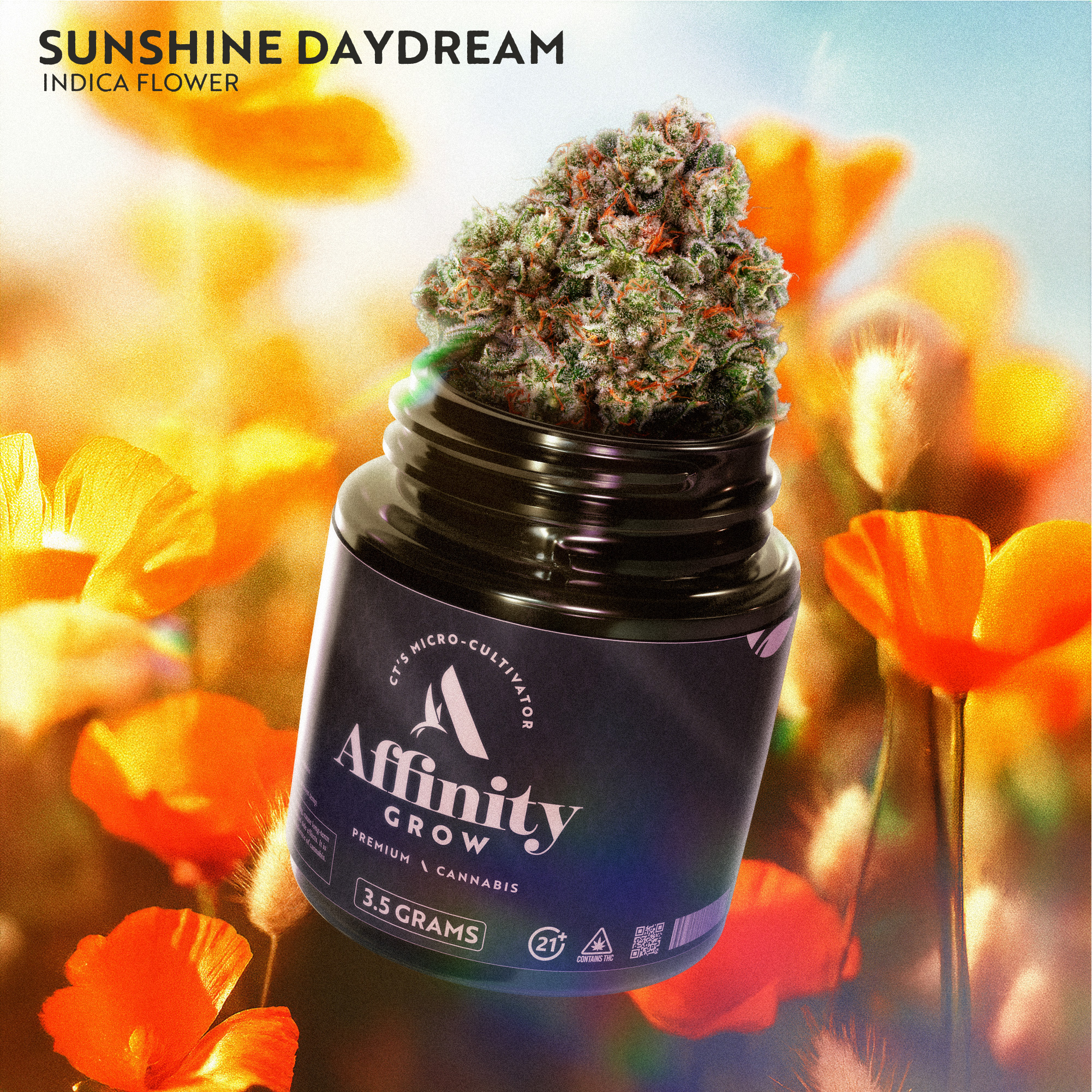 Photograph of product: Sunshine Daydream Flower T25.23% I 00519 (3.5g)