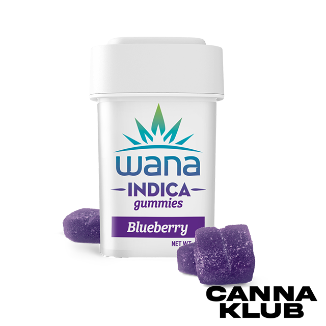 Photograph of product: 200MG BLUEBERRY GUMMIES