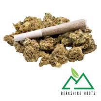 Photograph of product: D Sailor (H) 1g Pre-Roll- Berkshire Roots