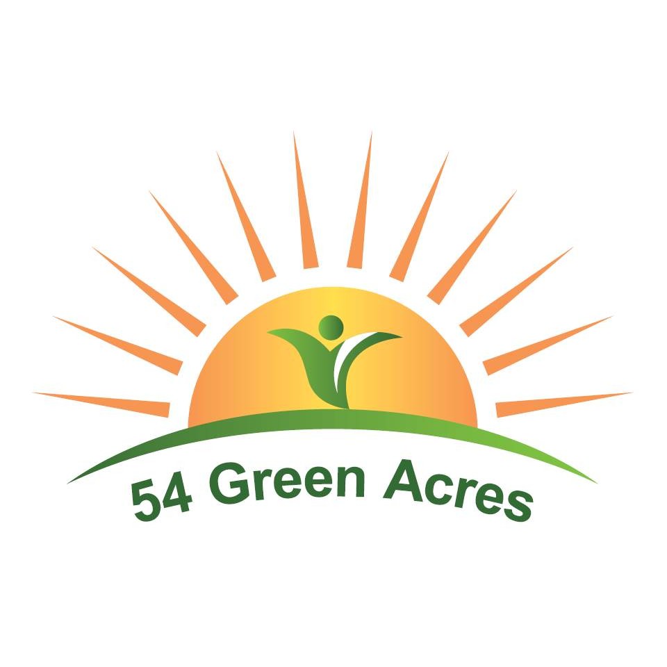 Photograph of product: 54 Green Acres - SUNDAE DRIVER - H - 28g