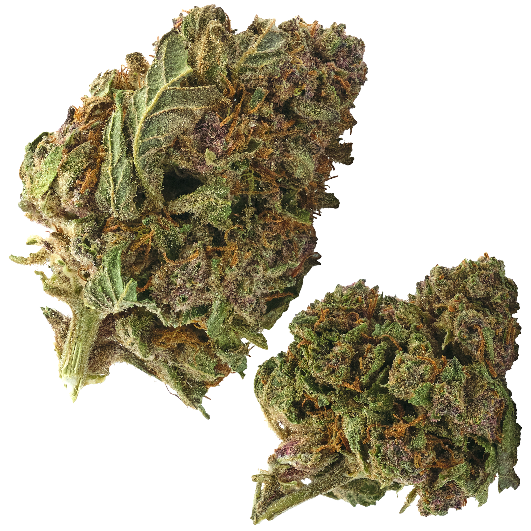 Photograph of product: Trop Cherry Outdoor - 14g