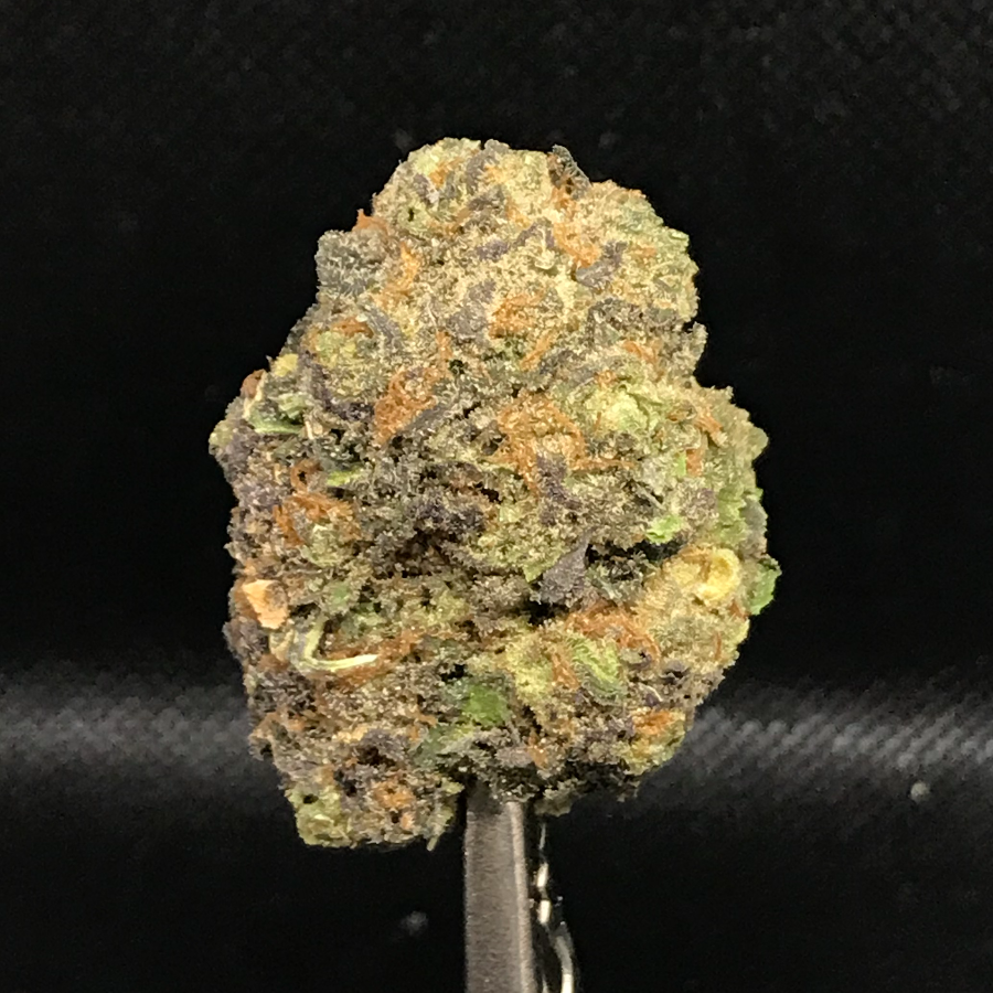 Photograph of Product: Mimosa - 1g