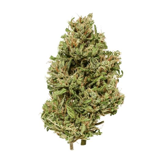Photograph of product: Alchemy Pure | Moonlight | Flower Jar - 3.5g