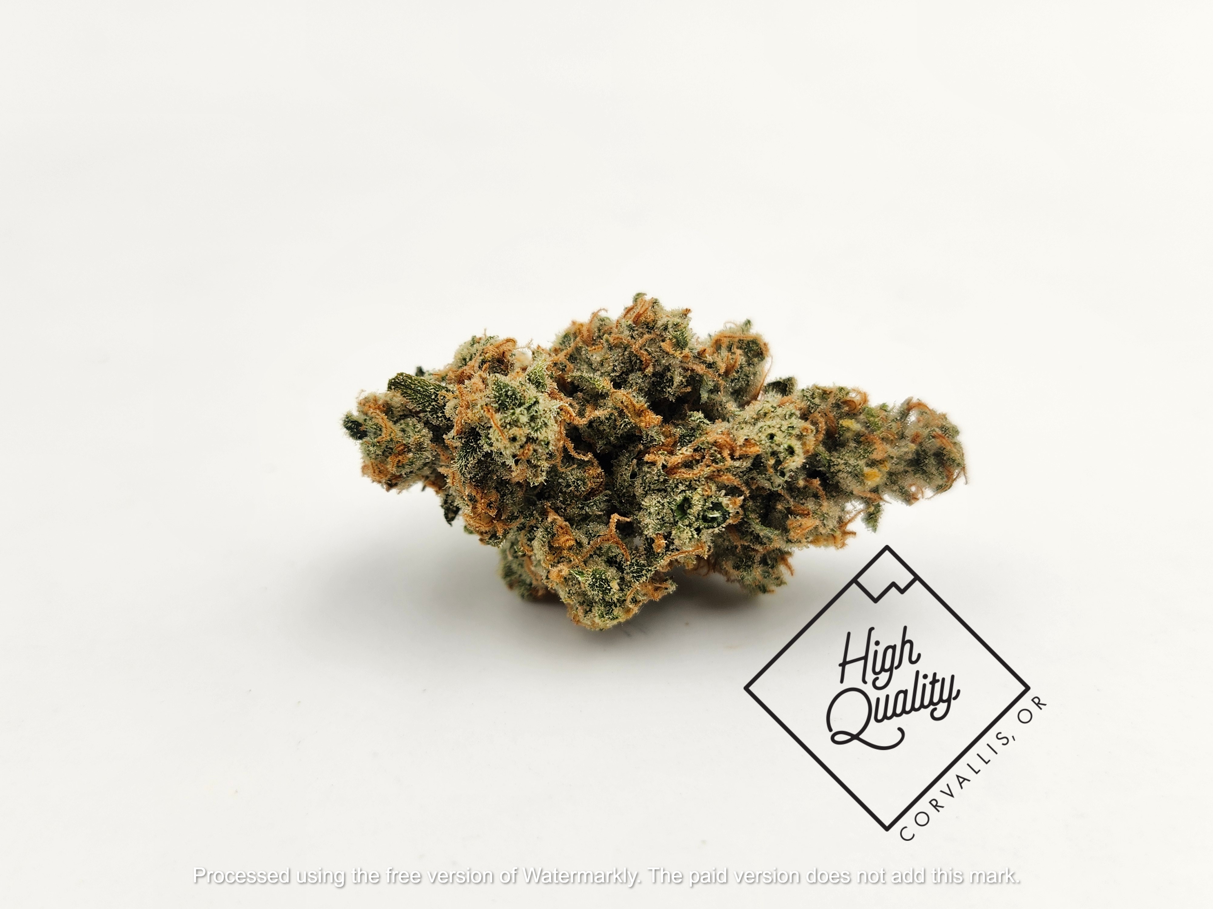 Photograph of product: Jack Herer (Silver Lining) - Noble Farms (S) - 28g