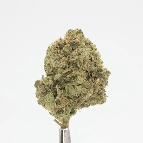 Photograph of product: Durban Poison Small Buds 3.5g