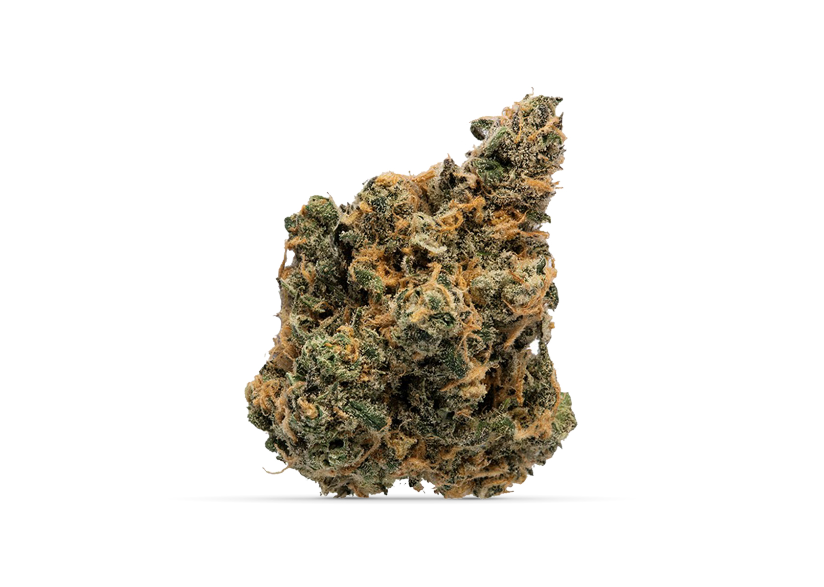 Photograph of product: Tangie Biscotti - 28g
