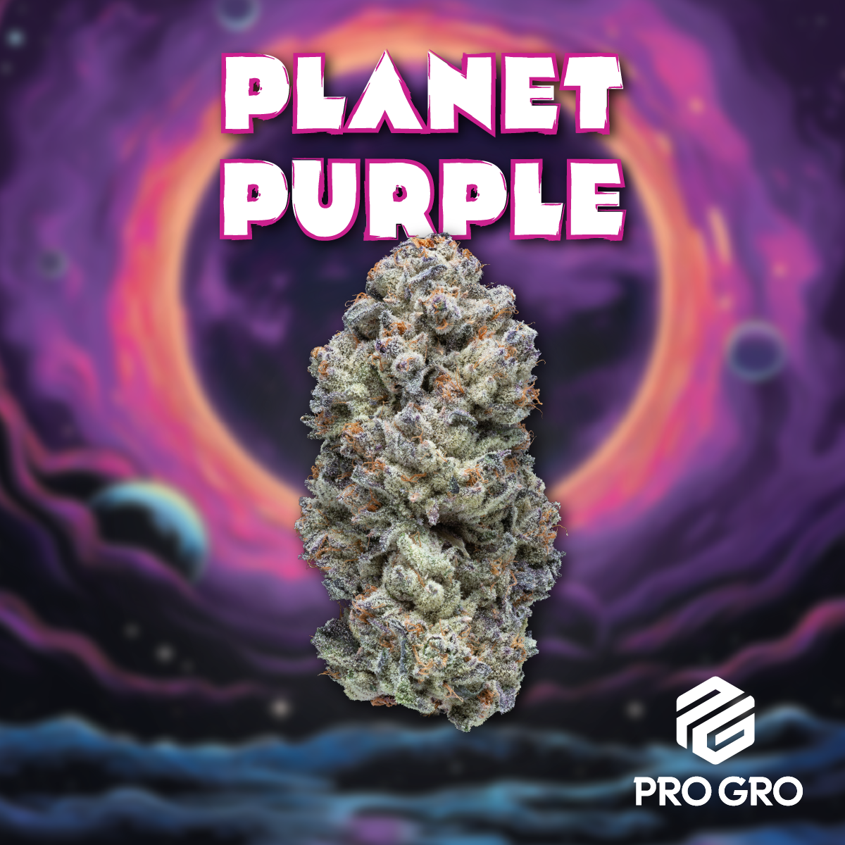 Photograph of product: PRO GRO | Bulk Flower | Planet Purple - 14g