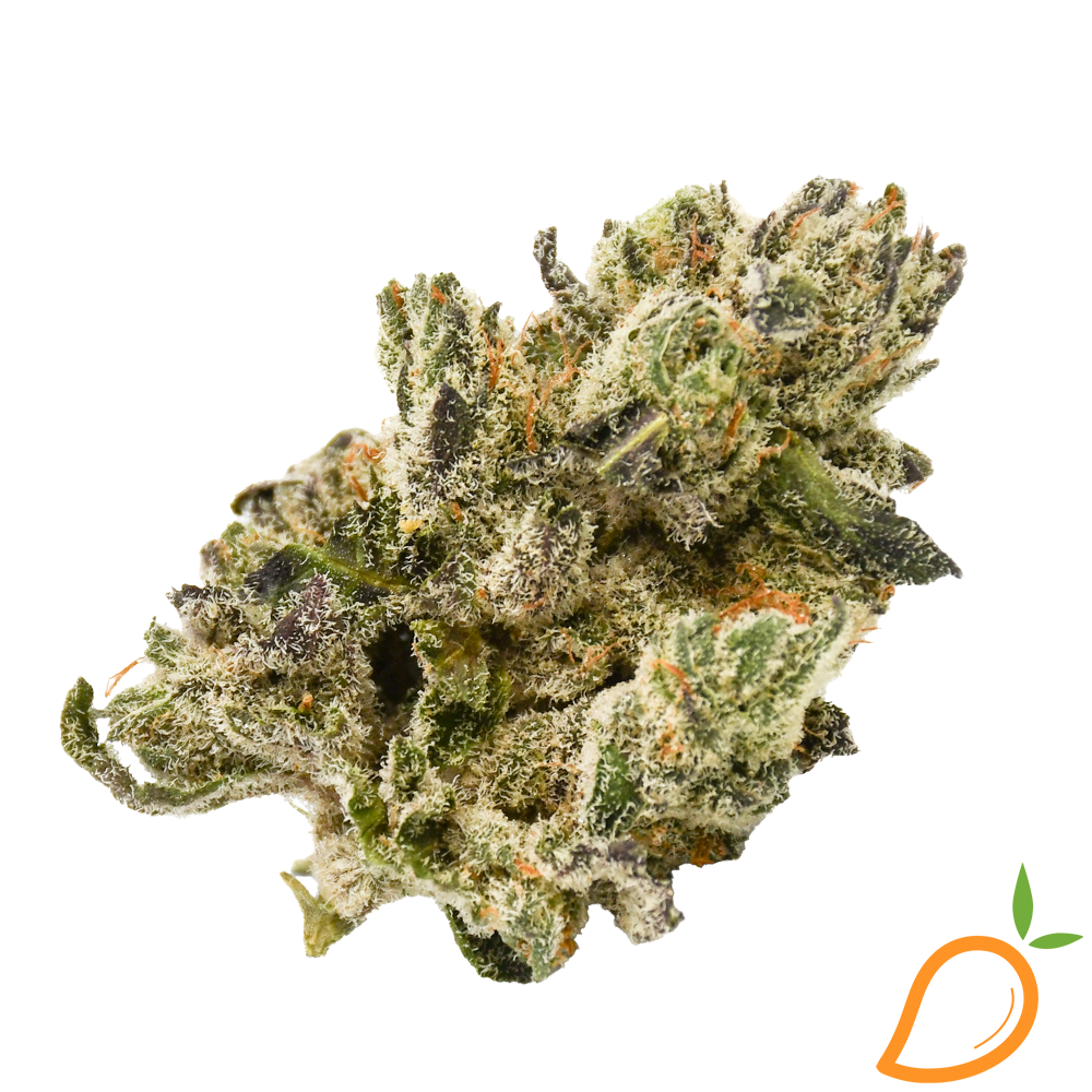 Photograph of product: Black Banana Sherb  - Lucky Cultivation - 28g
