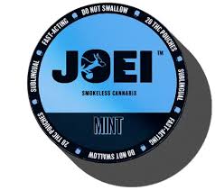 Photograph of product: Mint | 20 Pack 5mg Thc Pouches | Joei