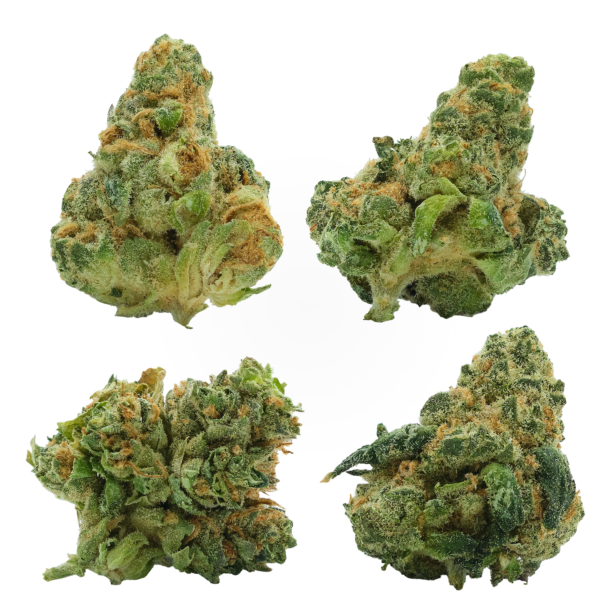 Photograph of product: Fierce Animal Smalls - 28g