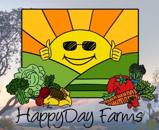 Photograph of product: HAPPY DAY FARMS ORANGE DURBAN FLOWER Oui'd 14G