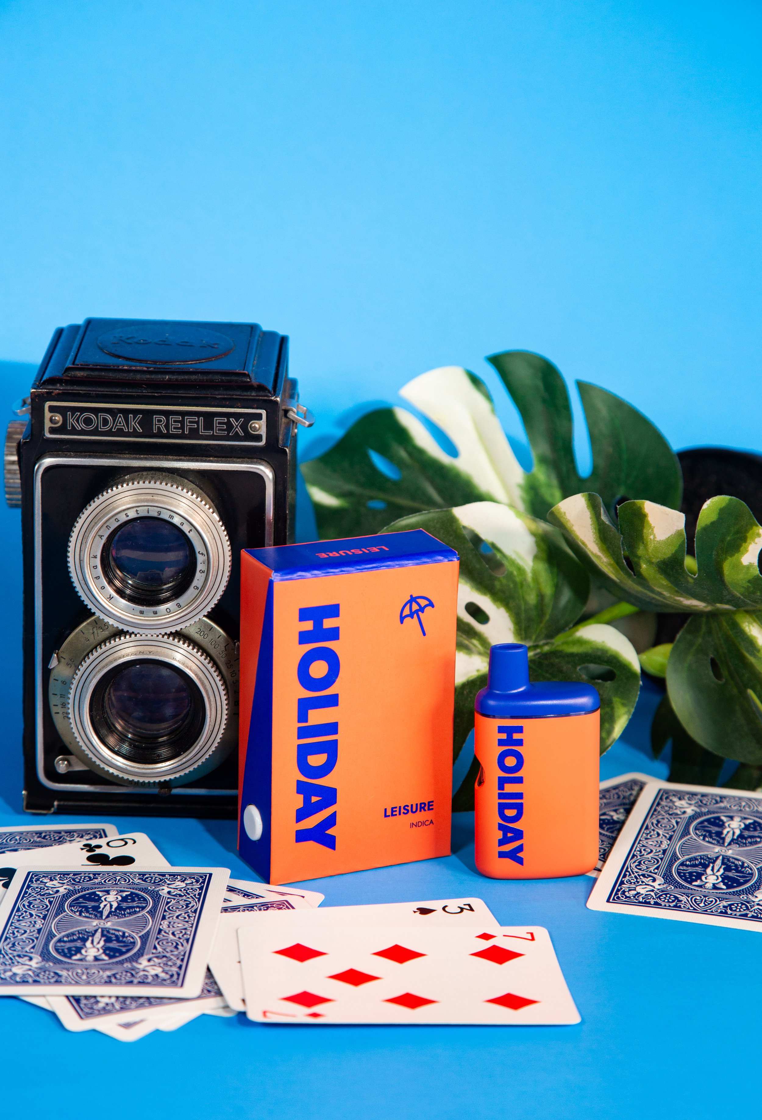Photograph of product: Holiday Lesiure disposable vape