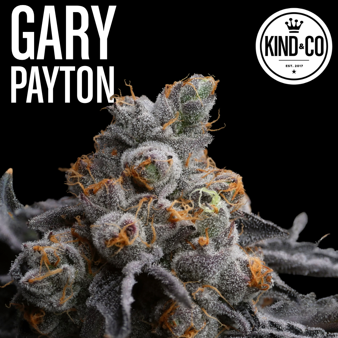 Photograph of product: Kind & Co // Gary Payton - 28g
