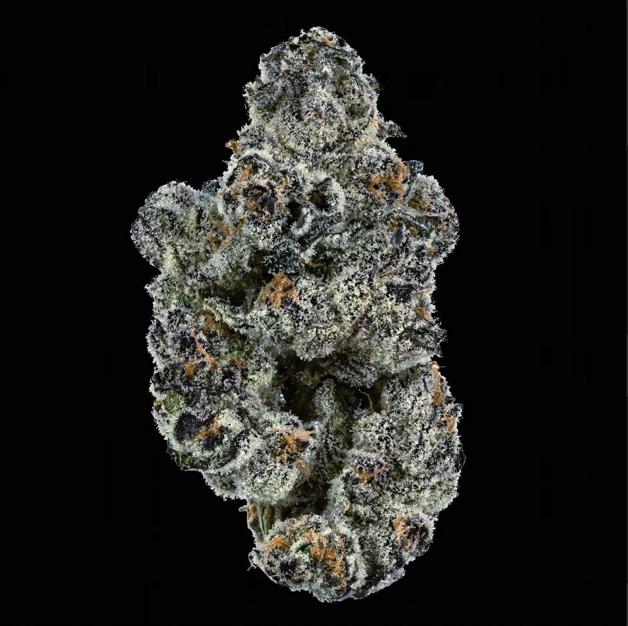 Photograph of product: Maine Trees: Blue Lobster - 28g